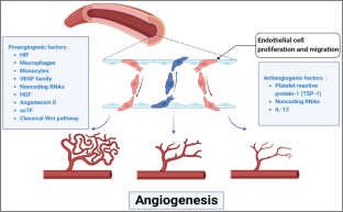 Therapeutic Strategies for Angiogenesis Based on Endothelial Cell Epigenetics.