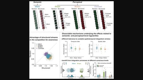 Temporal integration by multi-level regularities fosters the emergence of dynamic conscious experience