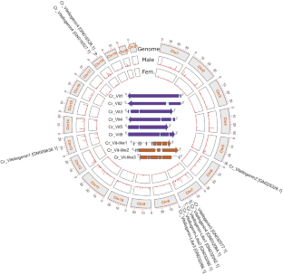 Sex-Biased Transcription Expression of Vitellogenins Reveals Fusion Gene and MicroRNA Regulation in the Sea Louse Caligus rogercresseyi