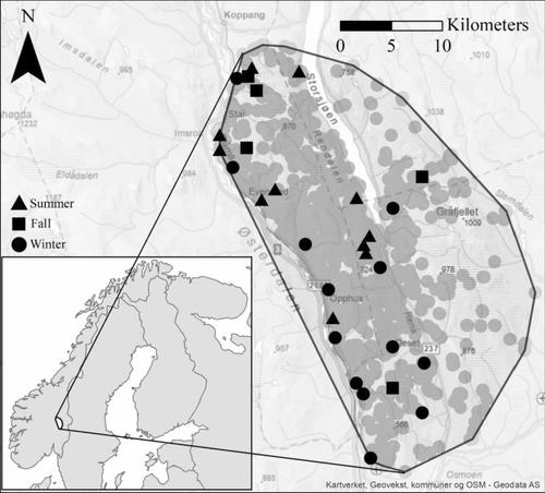 Carcass provisioning and intra-guild risk avoidance between two sympatric large carnivores