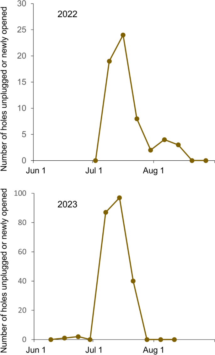 Seasonal prevalence of the invasive rusty-spotted longhorn beetle, Apriona swainsoni (Coleoptera: Cerambycidae), adults in Fukushima Prefecture, Japan