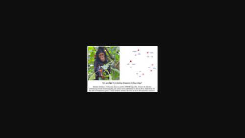 Applying collocation and APRIORI analyses to chimpanzee diets: Methods for investigating nonrandom food combinations in primate self-medication