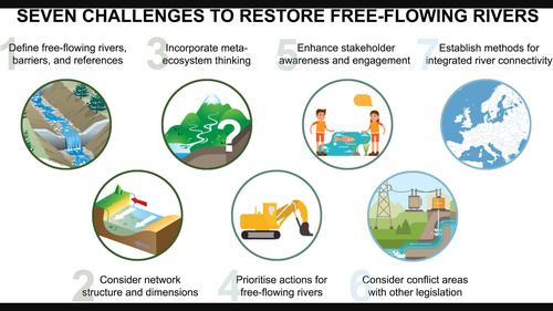 Reviving Europe's rivers: Seven challenges in the implementation of the Nature Restoration Law to restore free-flowing rivers