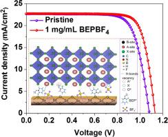 Buried interface defects 2-bromo-1-ethylpyridinium tetrafluoroborate passivates tin oxide layer for high performance planar perovskite solar cells