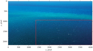 Registering the Peculiarities of Wind Wave Breaking from Unmanned Aerial Vehicles