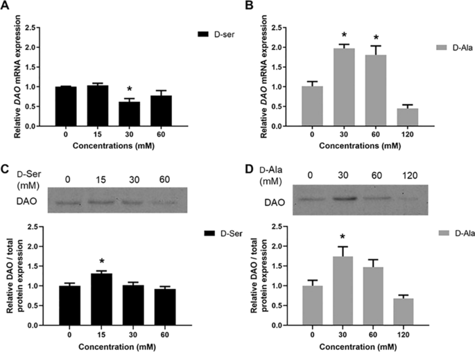 d-Amino acids differentially trigger an inflammatory environment in vitro