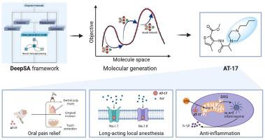 Deep simulated annealing for the discovery of novel dental anesthetics with local anesthesia and anti-inflammatory properties