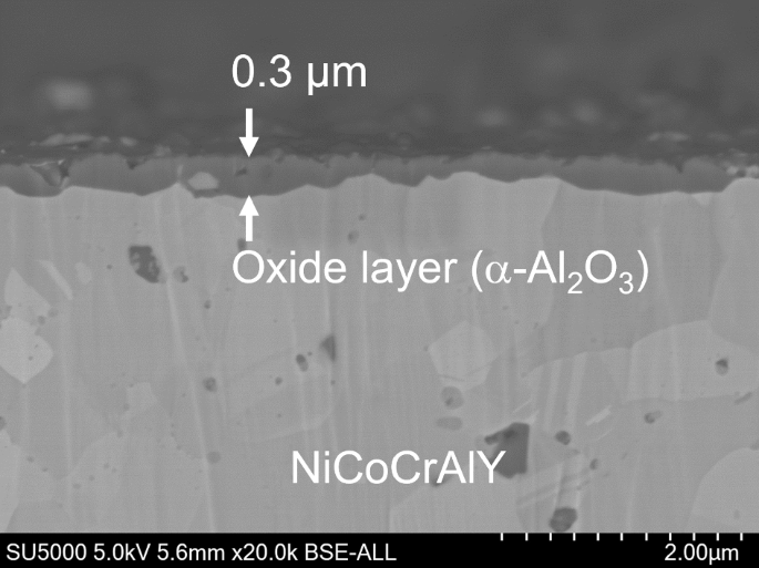 The Oxidation Behaviors of NiCoCrAlY Coatings After Pre-Oxidation Treatment During High-Temperature Oxidation at 800 ℃ and 900 ℃