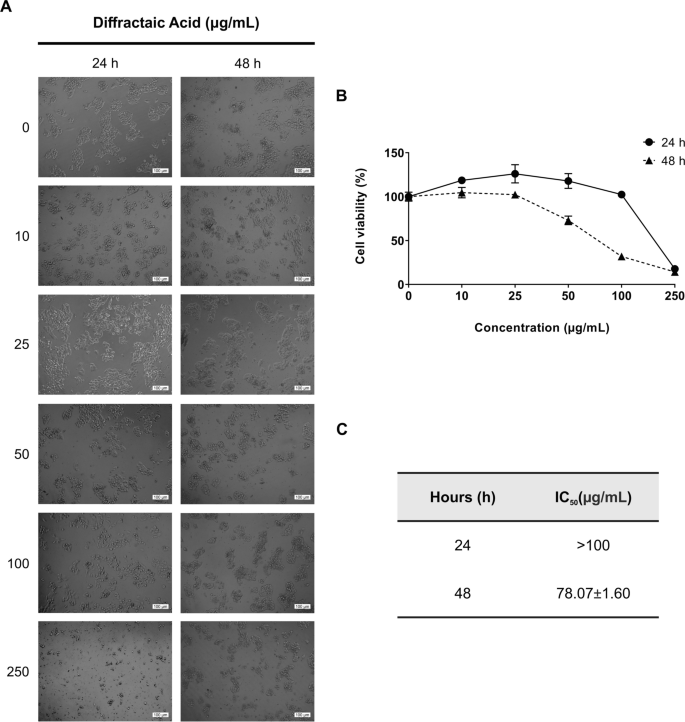 Diffractaic acid exerts anti-cancer effects on hepatocellular carcinoma HepG2 cells by inducing apoptosis and suppressing migration through targeting thioredoxin reductase 1