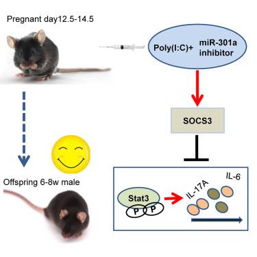 Quantitative proteomics of the miR-301a/SOCS3/STAT3 axis reveals underlying autism and anxiety-like behavior