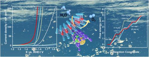 Oxygen Vacancy Rich δ-MnO2 Nanosheets Encapsulating Single Cobalt Atoms-Anchored Carbon Nanotubes for Efficient Oxygen Evolution