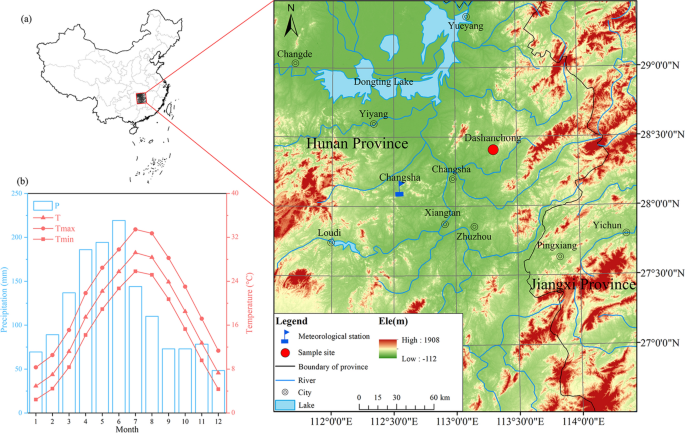 Xylem adjustment and growth response of early- and late-successional tree species to rapid warming