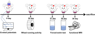 VX-765 Alleviates Circadian Rhythm Disorder in a Rodent Model of Traumatic Brain Injury Plus Hemorrhagic Shock and Resuscitation.