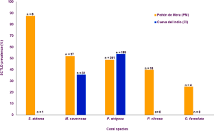 Stony coral tissue loss disease (SCTLD) induced mass mortality at Arecibo, Puerto Rico