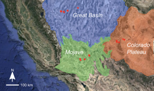 Spatial Signatures of Biological Soil Crusts and Community Level Self-organization in Drylands