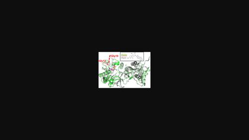 Crystal structure and biophysical characterization of IspD from Burkholderia thailandensis and Mycobacterium paratuberculosis