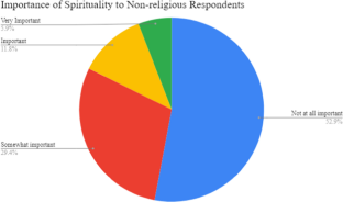 Religion and Spirituality in Medical Care from the Patient Perspective in Camden County, New Jersey, USA: An Exploratory Study