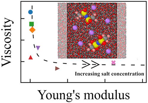 Salt Effects on the Mechanical Properties of Ionic Conductive Polymer: A Molecular Dynamics Study