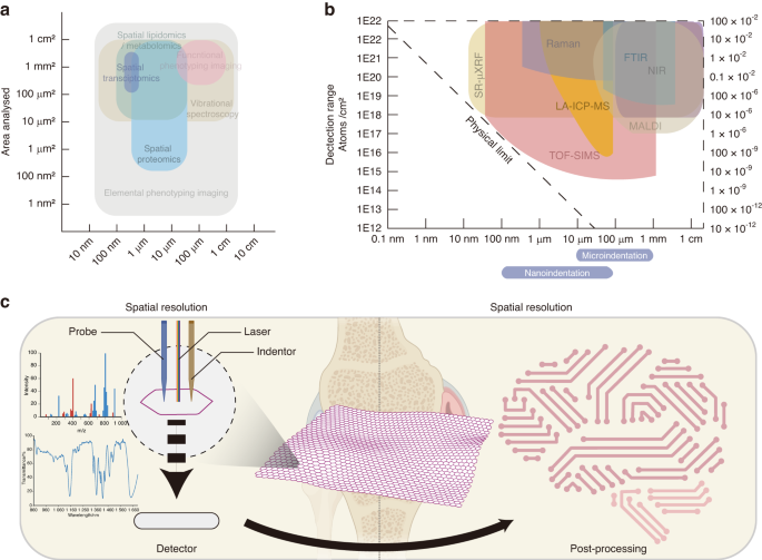 Spatial analysis of the osteoarthritis microenvironment: techniques, insights, and applications