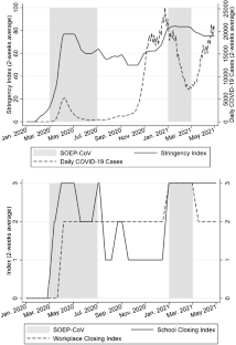 Teleworking and life satisfaction during COVID-19: the importance of family structure