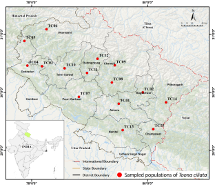 Genetic diversity and population structure in natural populations of Toona ciliata in the Uttarakhand state of Himalaya