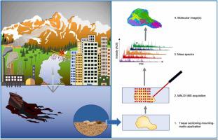 Mass spectrometry imaging in environmental monitoring: From a scarce existing past to a promising future