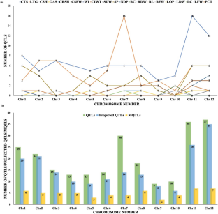 Meta-QTL and ortho analysis unravels the genetic architecture and key candidate genes for cold tolerance at seedling stage in rice