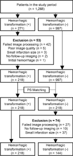 Radiomics using non-contrast CT to predict hemorrhagic transformation risk in stroke patients undergoing revascularization