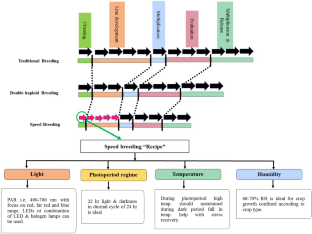 Understanding the Concept of Speed Breeding in Crop Improvement: Opportunities and Challenges Towards Global Food Security