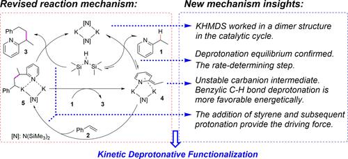 Mechanistic Investigation on Potassium Amide-Catalyzed Benzylic C–H Bond Addition of Alkylpyridines to Styrenes
