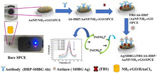 Development of Electrochemical Immunosensors for Early Diagnosis of Polycystic Ovary Syndrome (PCOS), and Their Potential Mobile Phone Application