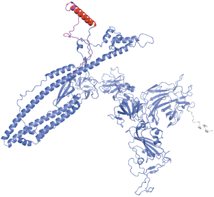 Search for New Potential T-Cell and B-Cell Epitopes in the Spike Protein of SARS-CoV-2