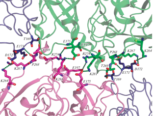 Improvement of the Diffraction Properties of Thiocyanate Dehydrogenase Crystals