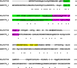 Four classic “de novo” genes all have plausible homologs and likely evolved from retro-duplicated or pseudogenic sequences