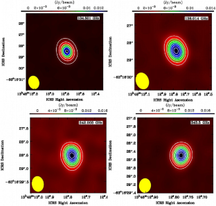 Multi-wavelength observation of MAXI J1348–630 during the outburst in 2019