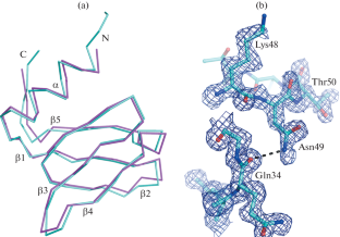 The Structure of the Hfq Protein from Chromobacterium haemolyticum Revealed a New Variant of Regulation of RNA Binding with the Protein