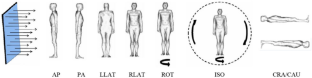 Influence of neutron cross-section resonances on organ/tissue equivalent and effective dose coefficients for the ICRP voxel phantoms.