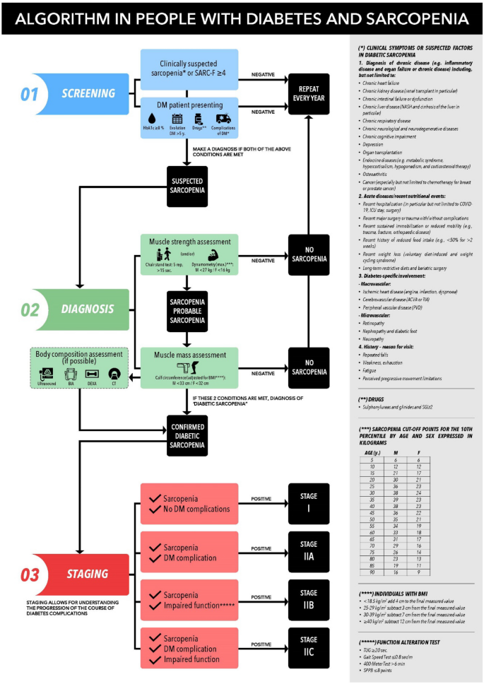 Diabetic Sarcopenia. A proposed muscle screening protocol in people with diabetes