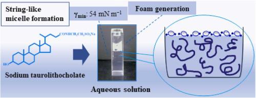 Micelle formation of sodium taurolithocholate