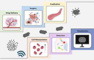 AcousticRobots: Smart acoustically powered micro-/nanoswimmers for precise biomedical applications