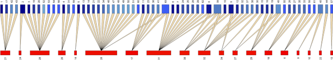 Plant–herbivore–natural enemy trophic webs in date palm agro-ecosystems