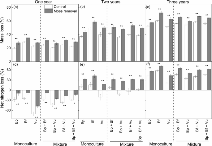 Moss removal facilitates decomposition and net nitrogen loss of monospecific and mixed-species litter in a boreal peatland