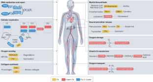 Iron deficiency and supplementation in heart failure