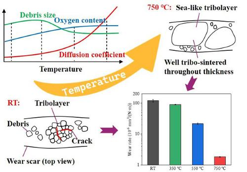 Role of temperature in tribolayers in fretting wear of γ-TiAl alloy