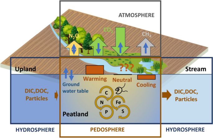 Editorial: Peatlands for climate change mitigation in agriculture