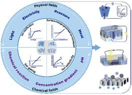 Ion transport in nanofluidics under external fields