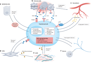 Beyond genetics: driving cancer with the tumour microenvironment behind the wheel