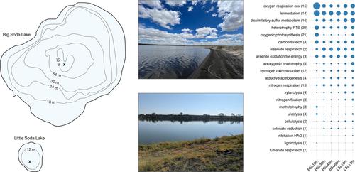 Microbiology of Big Soda Lake, a multi-extreme meromictic volcanic crater lake in the Nevada desert