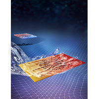 Controlling mass and energy diffusion with metamaterials