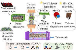 Efficient Toluene Degradation using Bacillus subtilis Biofilm Supported Mn-Ce/Zeolite Catalysts